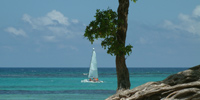 Ilha do Guajirú - The ecological paradise!