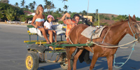 Ilha do Guajirú - The ecological paradise!