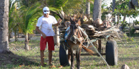 Ilha do GuajirÃº - The ecological paradise!