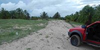 Ilha do Guajirú - The ecological paradise!