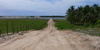 Ilha do Guajirú - The ecological paradise!