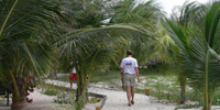 Ilha do Guajirú - The ecological paradise!