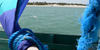 Ilha do Guajirú - The ecological paradise!