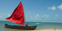 Ilha do Guajirú - The ecological paradise!