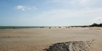 Ilha do Guajirú - The ecological paradise!