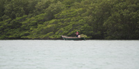 Ilha do Guajirú - The ecological paradise!