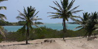 Ilha do Guajirú - The ecological paradise!