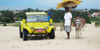 Ilha do Guajirú - The ecological paradise!