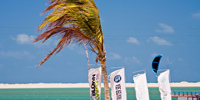 Ilha do Guajirú - The ecological paradise!